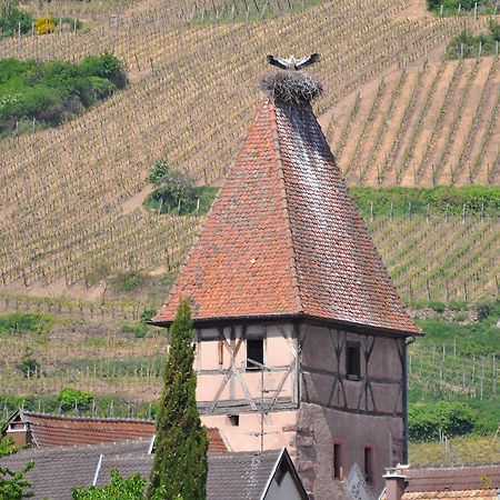 Gite Du Vignoble Ammerschwihr Exteriör bild
