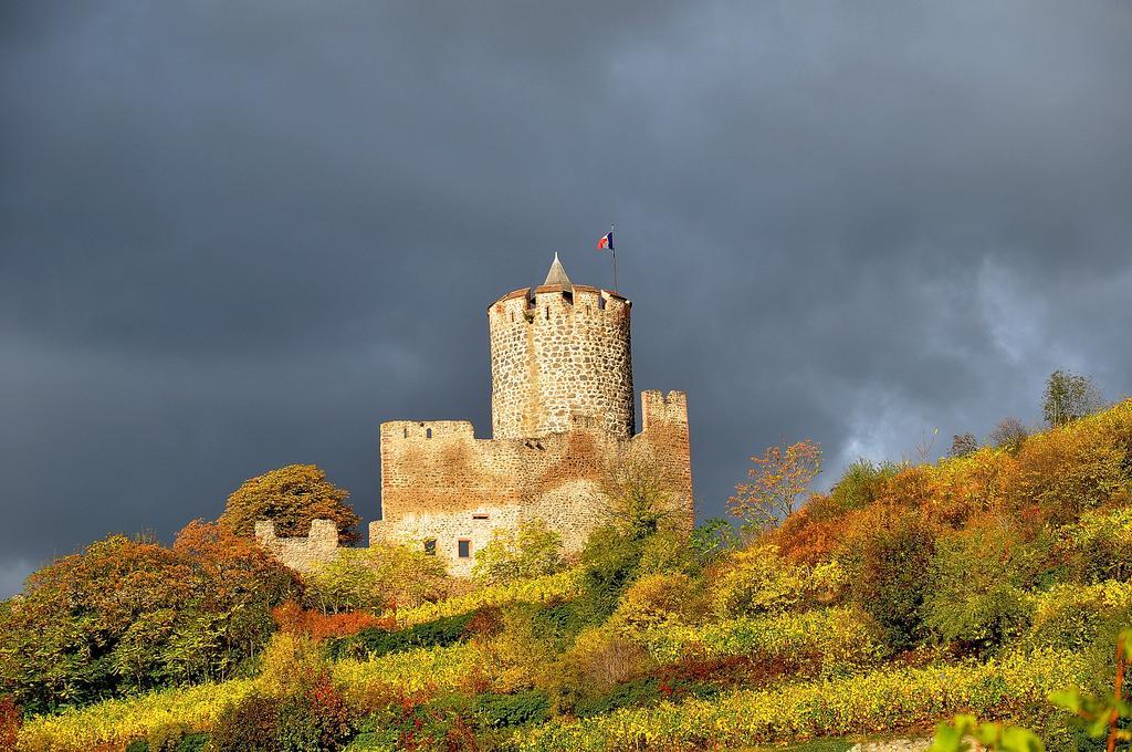 Gite Du Vignoble Ammerschwihr Exteriör bild
