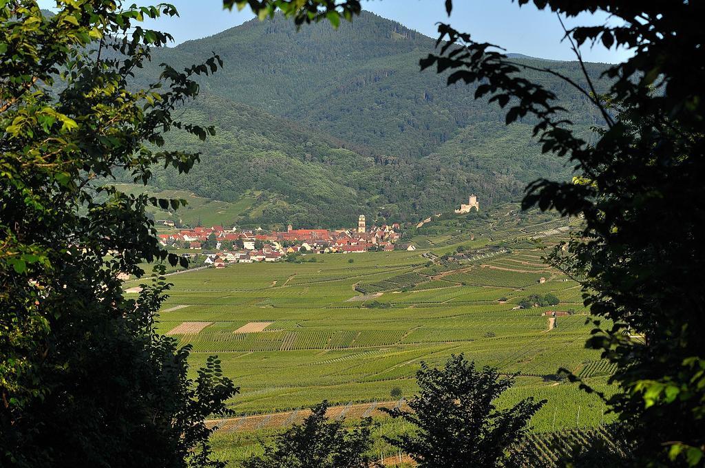 Gite Du Vignoble Ammerschwihr Exteriör bild